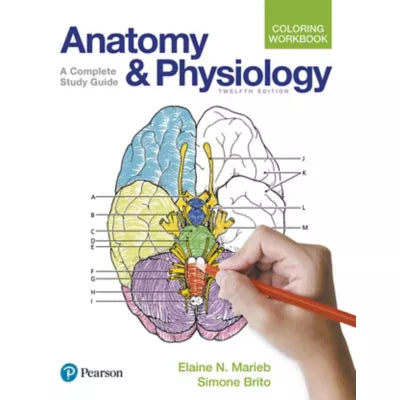 Anatomy and Physiology Coloring Workbook